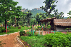 Camp-Side