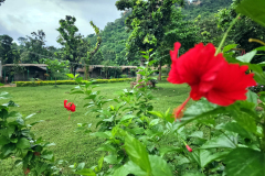Campus-Flower
