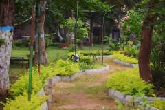 Camp site