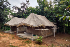 Non-AC Deluxe Tent (Double)