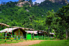 Non-AC-Standard-Tent-Kukuburu-Hill