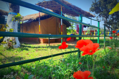 Non-AC-Standard-Tent-View