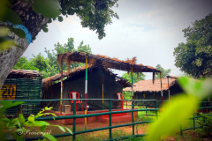 Non-AC-Standard-Tent